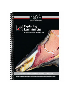 Exploring laminitis 1 anatomy book